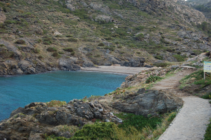 Bild2 (Originalgr��e)