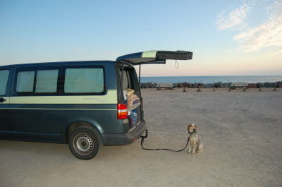 Bild1 (Originalgr��e)