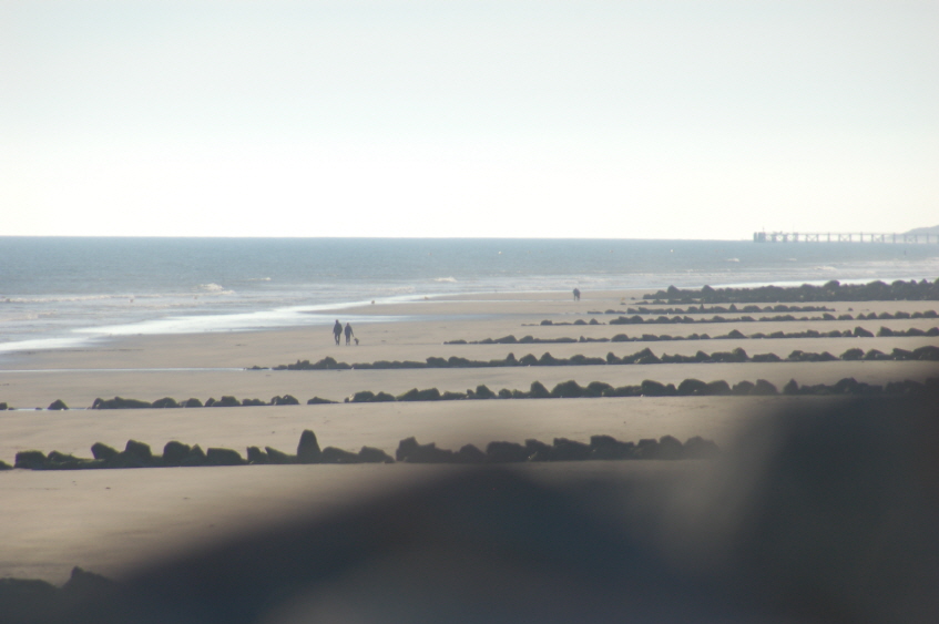 Bild9 (Originalgr��e)