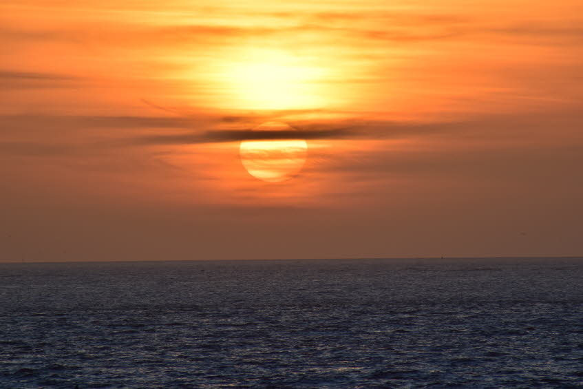 Zoutelande-M�rz-2016-57