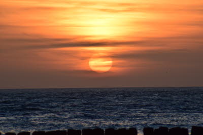 Zoutelande-M�rz-2016-58