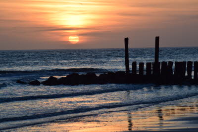 Zoutelande-M�rz-2016-59