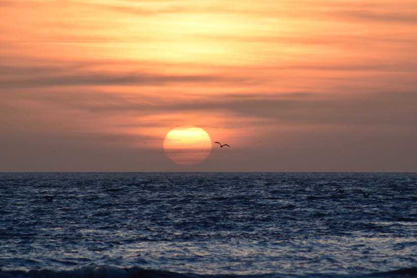 Zoutelande-M�rz-2016-64