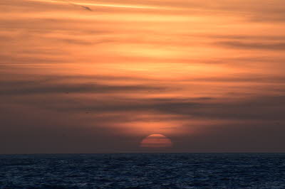 Zoutelande-M�rz-2016-66