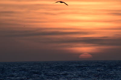 Zoutelande-M�rz-2016-68